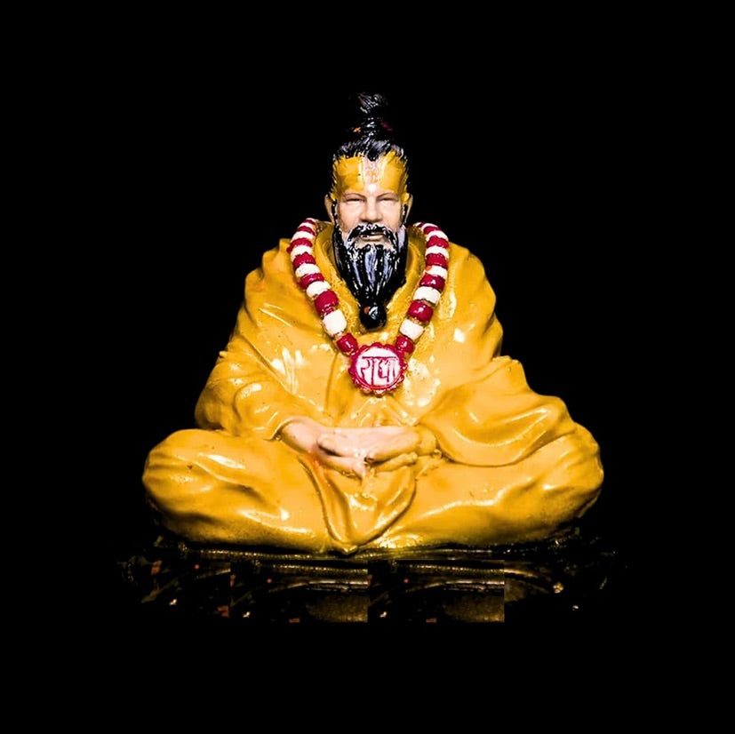 Premanand Ji Maharaj Idol